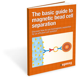 Basic guide cell separation