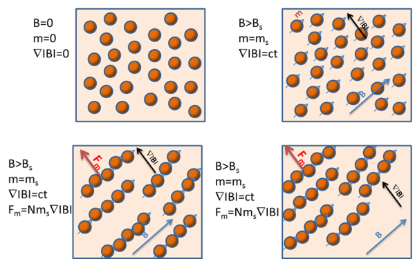 High bead concentrations lead to higher magnetic bead separation speed