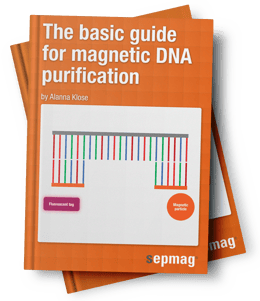 1) DNA purification
