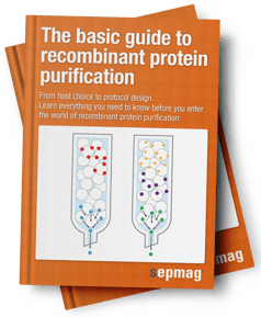 1) Protein Purification