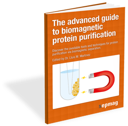 Sepmag_Portada 3D_Biomagnetic protein.png