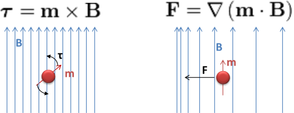 Figure_1._Magnetic_Force_and_Torque-resized-600